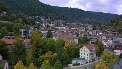 Webcam Bad Wildbad